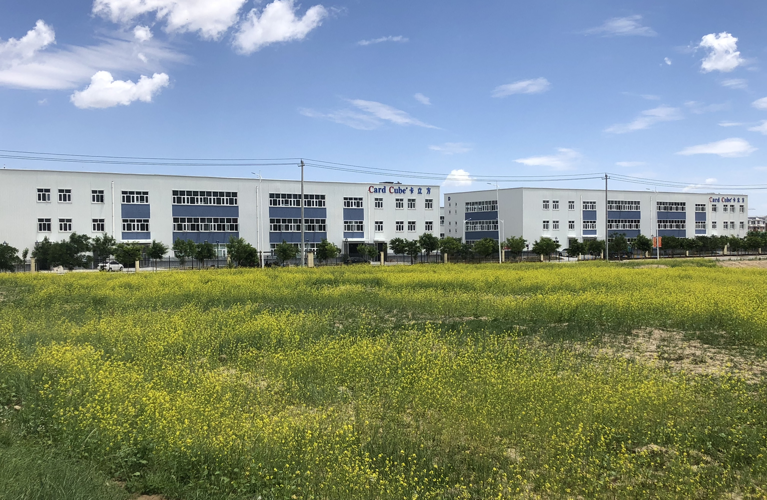 卡立方集團:RFID智能卡Inlay中料領域的源頭工廠制造標桿